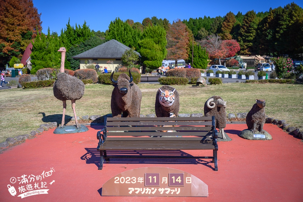 【九州自然動物園】叢林巴士購票玩樂攻略!體驗餵獅子大象和駱駝,還能和長頸鹿合影超震撼!