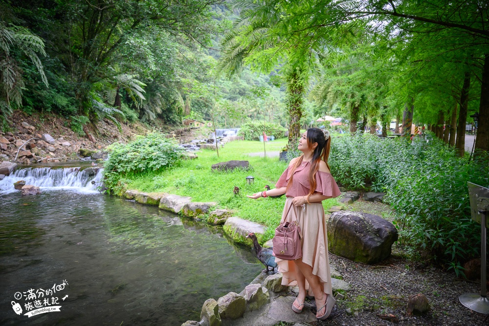 宜蘭【鳳梨屋水上莊園】最新門票資訊,宜蘭親子玩水景點.瀑布鞦韆.彩虹彎月.鳳梨教堂.森林露營，仙氣飄飄~宜蘭版熱帶雨林!