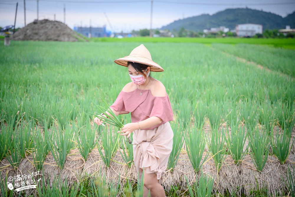 宜蘭景點|農夫青蔥體驗農場|採蔥.種蔥.洗蔥.蔥油餅DIY,挑戰一日蔥農,繽紛傘海下餵梅花鹿!