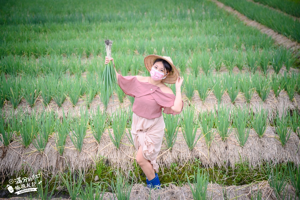 宜蘭景點|農夫青蔥體驗農場|採蔥.種蔥.洗蔥.蔥油餅DIY,挑戰一日蔥農,繽紛傘海下餵梅花鹿!