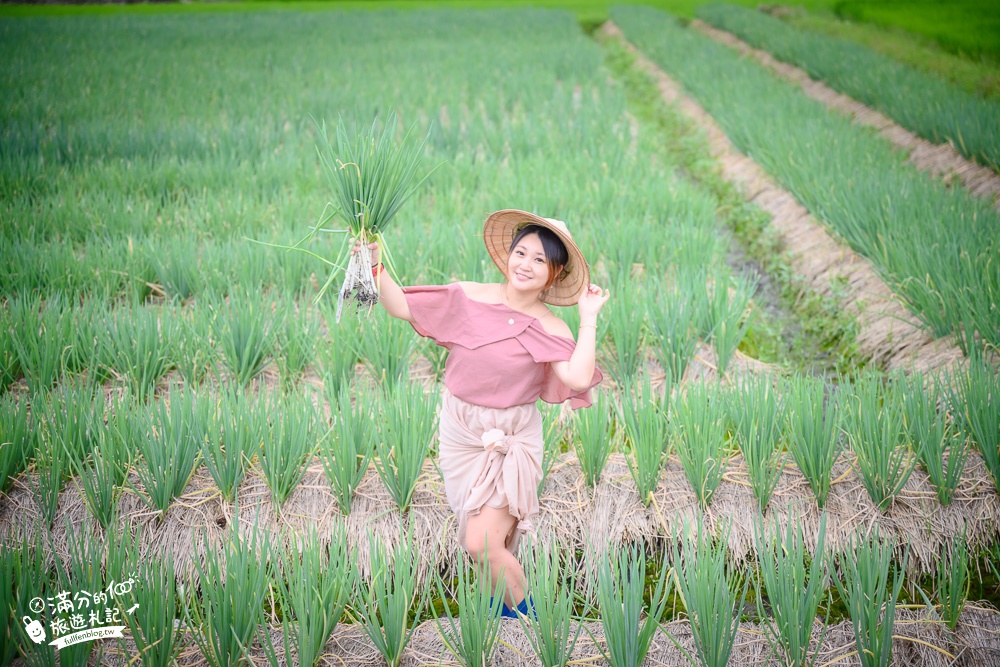 宜蘭景點|農夫青蔥體驗農場|採蔥.種蔥.洗蔥.蔥油餅DIY,挑戰一日蔥農,繽紛傘海下餵梅花鹿!