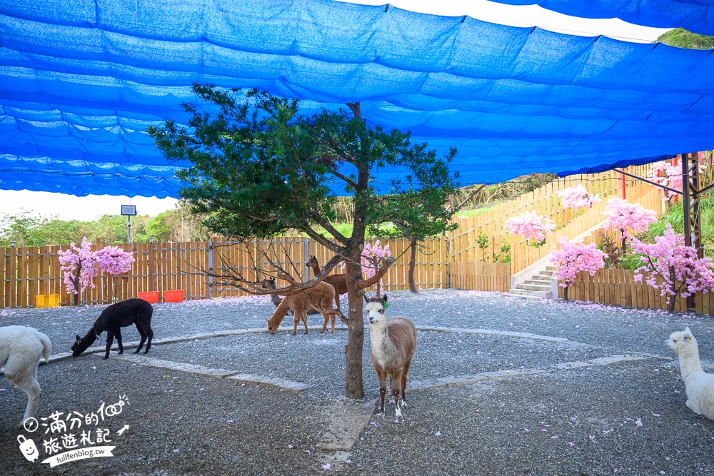 花蓮新景點【月崖灣親子農場】門票資訊&玩樂攻略.海景千本鳥居在這.和服免費穿還能餵水豚笑笑羊!