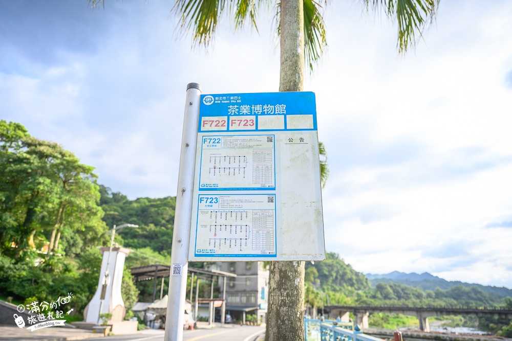 【坪林茶業博物館】台灣茶主題故事館,玩茶品茶香,看水豚泡湯,遠離喧囂的茶文化探索之旅!