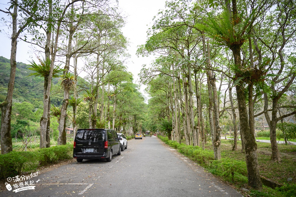 花蓮景點｜瑞穗牧場(免門票.免費停車)花蓮親子景點推薦,看牛群.喝鮮乳.吃金香饅頭~東台灣紐西蘭秘境!