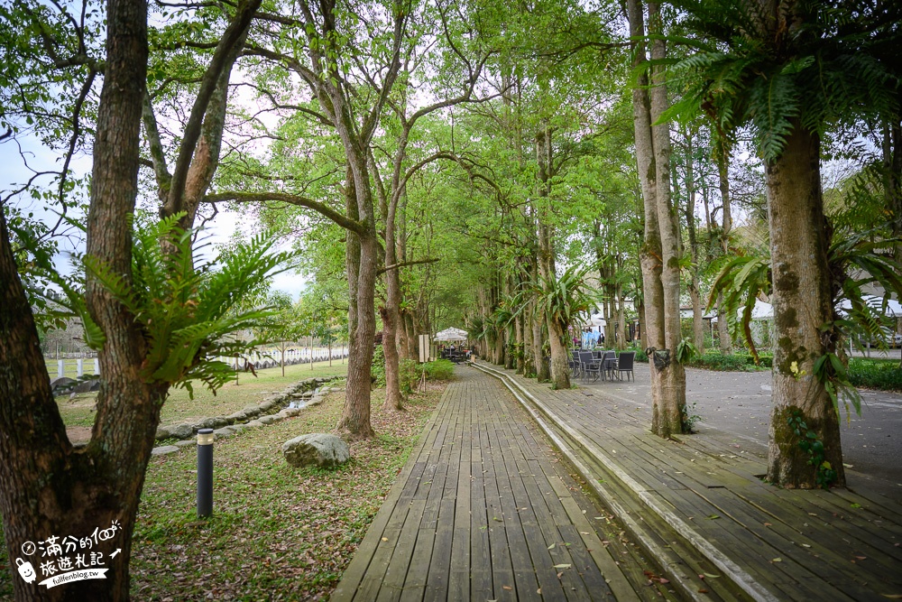 花蓮景點｜瑞穗牧場(免門票.免費停車)花蓮親子景點推薦,看牛群.喝鮮乳.吃金香饅頭~東台灣紐西蘭秘境!