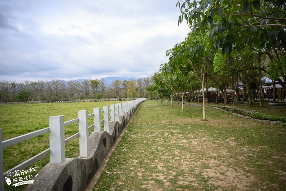 花蓮景點｜瑞穗牧場(免門票.免費停車)花蓮親子景點推薦,看牛群.喝鮮乳.吃金香饅頭~東台灣紐西蘭秘境!