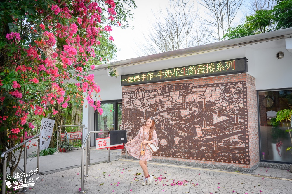 花蓮景點｜瑞穗牧場(免門票.免費停車)花蓮親子景點推薦,看牛群.喝鮮乳.吃金香饅頭~東台灣紐西蘭秘境!