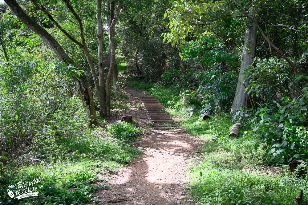 南投景點|九九峰森林步道(免門票)草屯隱藏版秘境,獨特火炎山地形~超療癒抹茶山谷!