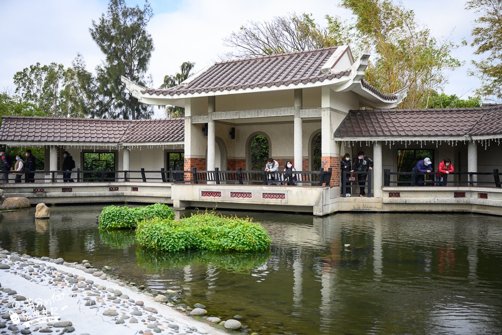 台中景點|臺中市港區藝術中心(免門票)清水眷村文化園區一起玩|別有洞天~輕鬆漫遊江南美景!