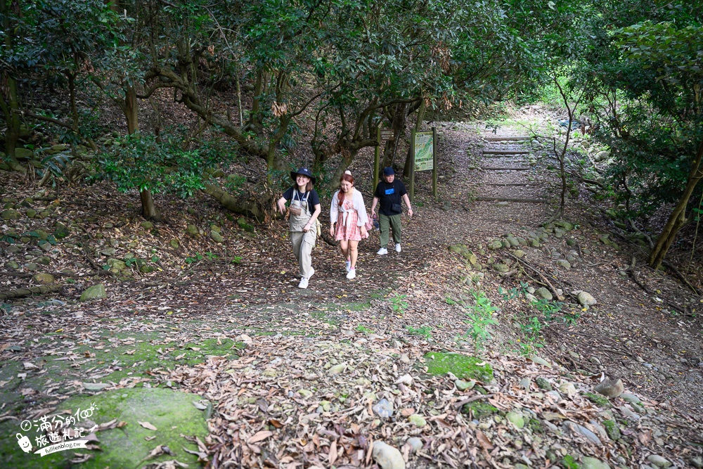 南投景點|九九峰森林步道(免門票)草屯隱藏版秘境,獨特火炎山地形~超療癒抹茶山谷!