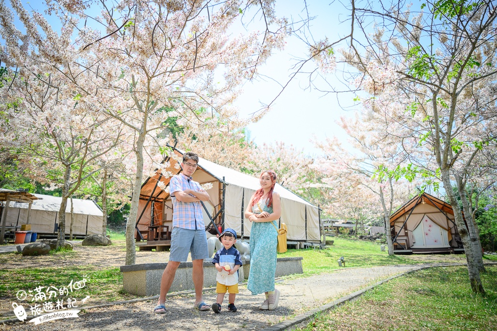 【2024寶來花賞溫泉公園花旗木】寶來六龜花旗木最新花況,山谷最美粉紅櫻花林,遠得要命還是值得一訪!