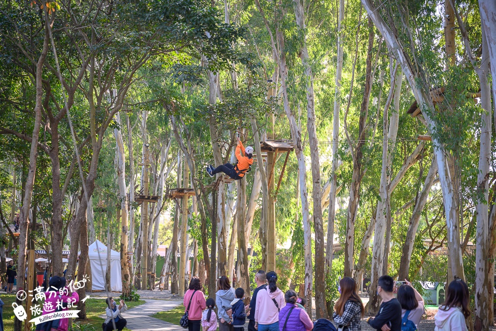 嘉義新景點【咩咩上樹萌寵樂園】2024最新票價資訊玩樂攻略!餵動物看侏儒羊上樹,森林高空冒險刺激好玩!