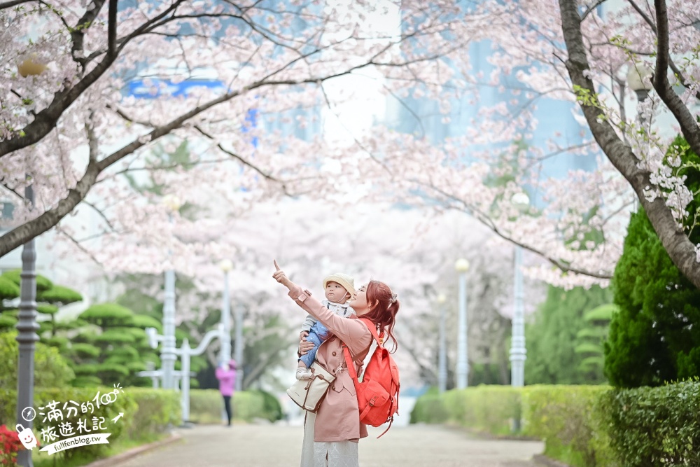 釜山海雲台櫻花景點【冬柏站櫻花路】,浪漫滿分,釜山免費賞櫻秘境!