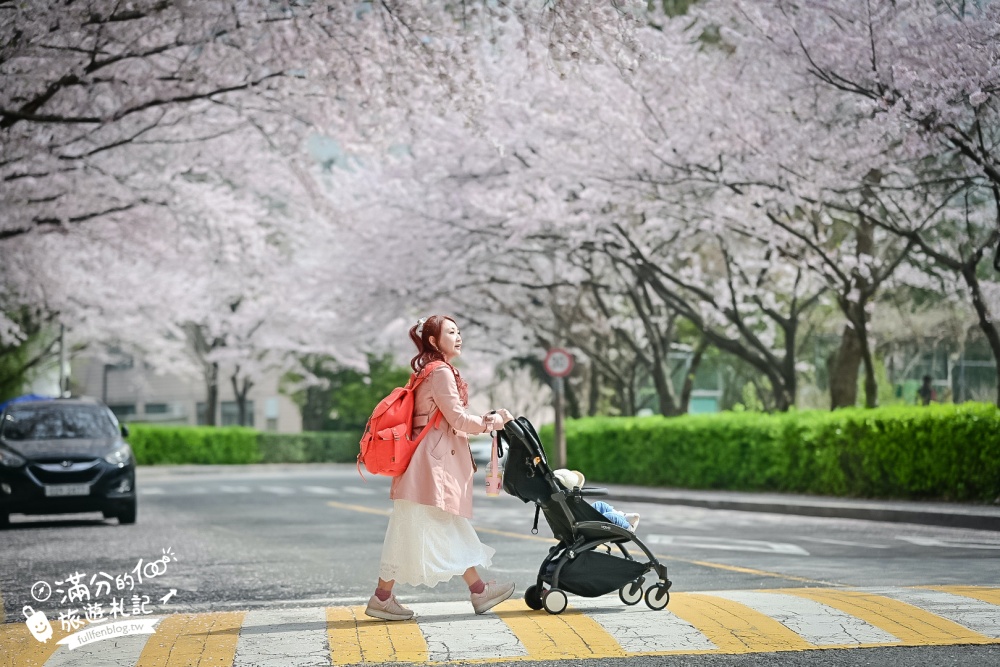 釜山海雲台櫻花景點【冬柏站櫻花路】,浪漫滿分,釜山免費賞櫻秘境!