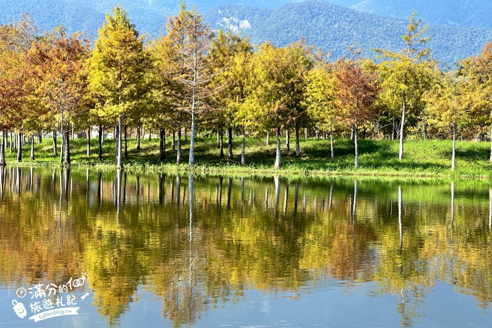 【花蓮a2水岸園區】遊湖體驗全攻略!花蓮落羽松池畔秘境.星巴克花蓮理想門市.玩拍北非摩洛哥城!