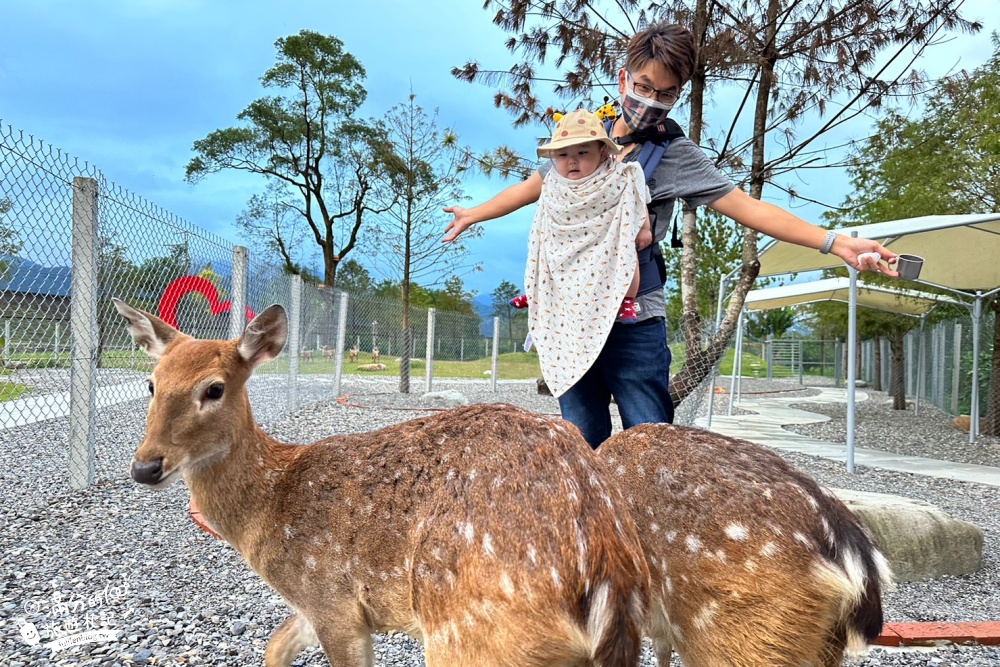 宜蘭景點|鹿爺爺|宜蘭餵鹿親子秘境,未滿2歲免費入園,看水豚泡澡,跳跳羊耍萌~還能喝咖啡下午茶!