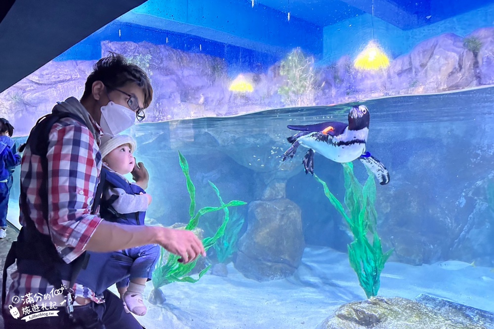 釜山景點》釜山水族館SEA LIFE BUSAN交通攻略.門票資訊~海雲台雨天備案景點,釜山親子景點,看企鵝.鯊魚~漫步海底隧道!