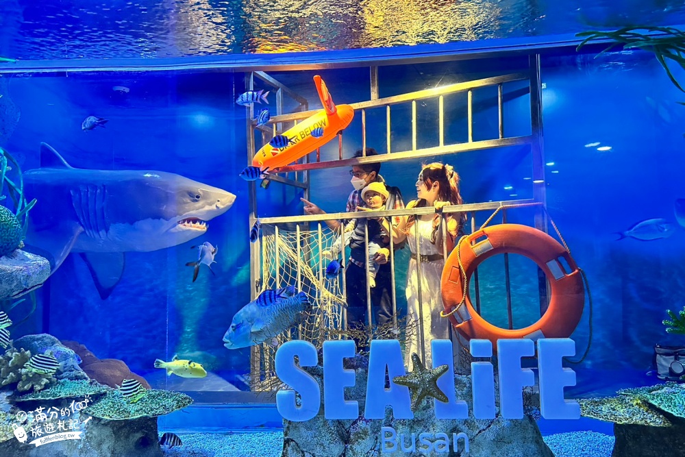 釜山景點》釜山水族館SEA LIFE BUSAN交通攻略.門票資訊~海雲台雨天備案景點,釜山親子景點,看企鵝.鯊魚~漫步海底隧道!