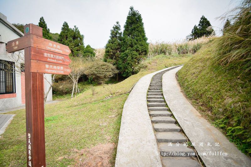 【台北景點】陽明山國家公園。擎天崗秋芒浪漫季~曬牛踏青玩耍趣