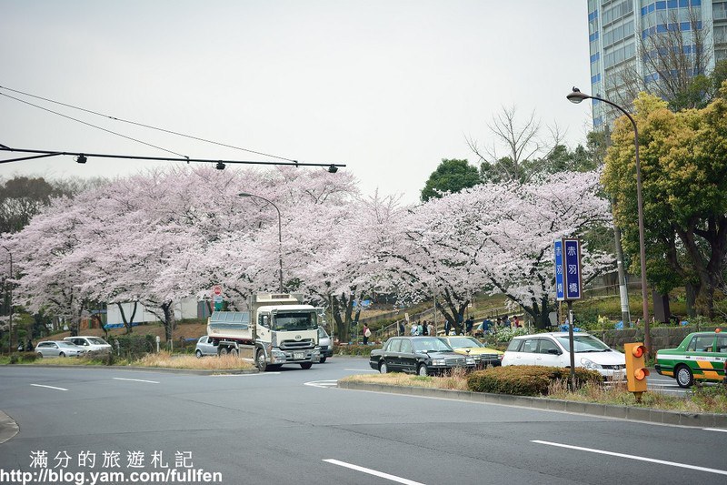 日本東京景點》東京鐵塔 東京最火熱的代表標地 東京賞櫻景點 浪漫的粉嫩櫻花季