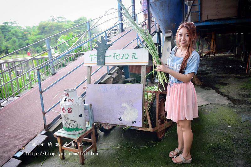 宜蘭冬山景點》宜農牧場 餵豬、餵羊、餵白免~與動物們的親密接觸。貼近大自然的農地