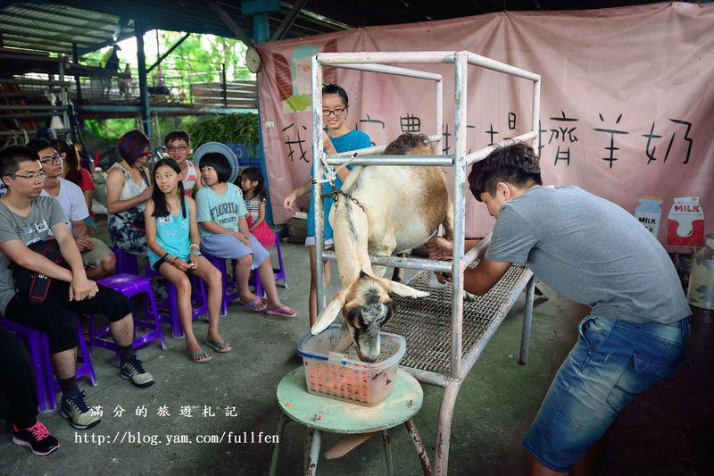 宜蘭冬山景點》宜農牧場 餵豬、餵羊、餵白免~與動物們的親密接觸。貼近大自然的農地