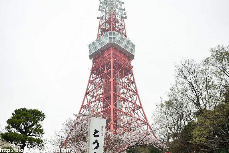 日本東京景點》東京鐵塔 東京最火熱的代表標地 東京賞櫻景點 浪漫的粉嫩櫻花季