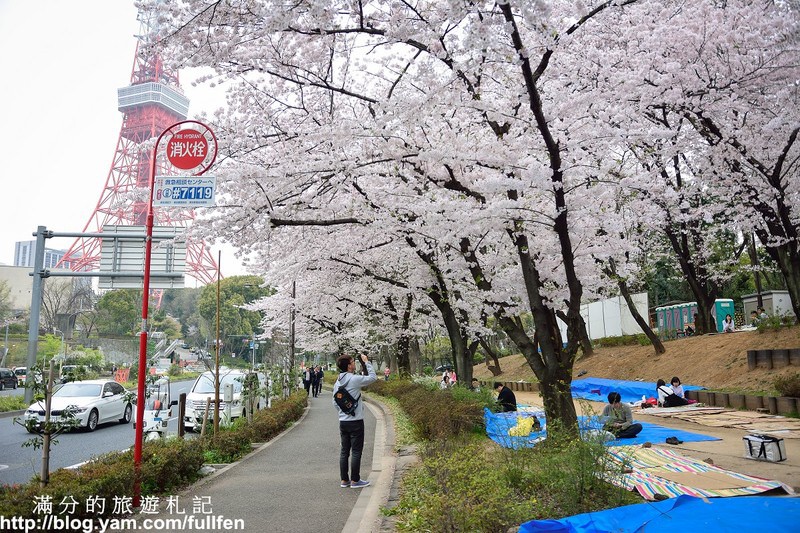 日本東京景點》東京鐵塔 東京最火熱的代表標地 東京賞櫻景點 浪漫的粉嫩櫻花季