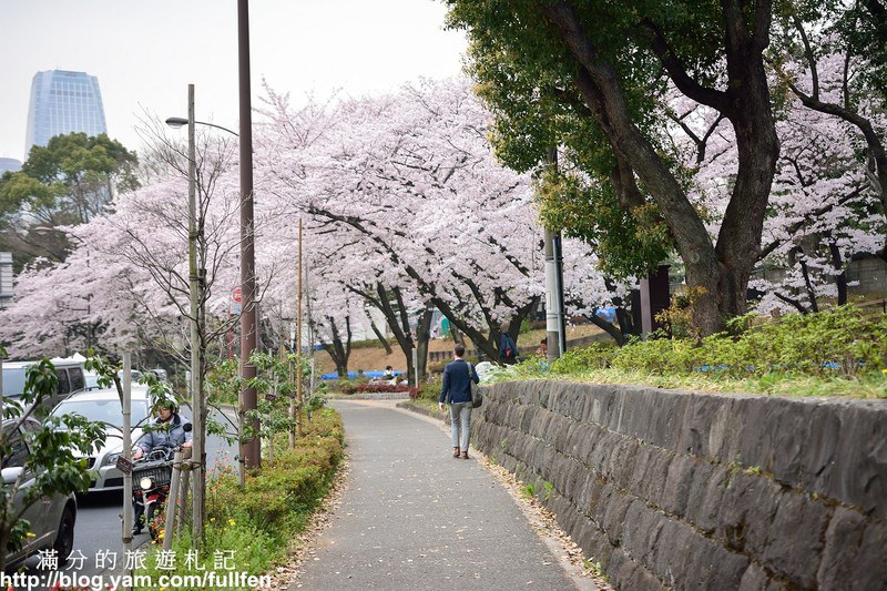 日本東京景點》東京鐵塔 東京最火熱的代表標地 東京賞櫻景點 浪漫的粉嫩櫻花季