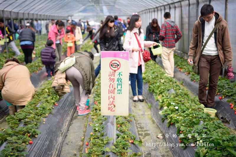 台北內湖景點|內湖採草莓趣.白石湖草莓園&莓圃休閒農園 ~草莓季開始囉!!!