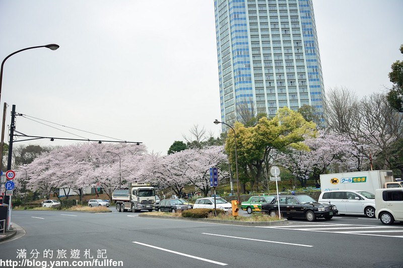 日本東京景點》東京鐵塔 東京最火熱的代表標地 東京賞櫻景點 浪漫的粉嫩櫻花季