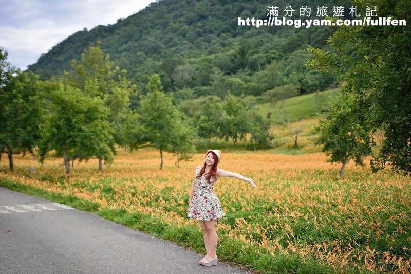 花蓮赤科山金針花》花蓮金針花海~赤科山/汪家古厝/千噸石龜~季節限定的美景!