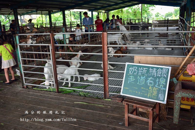 宜蘭冬山景點》宜農牧場 餵豬、餵羊、餵白免~與動物們的親密接觸。貼近大自然的農地