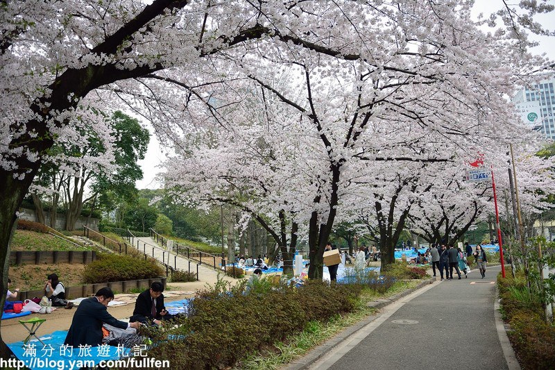 日本東京景點》東京鐵塔 東京最火熱的代表標地 東京賞櫻景點 浪漫的粉嫩櫻花季