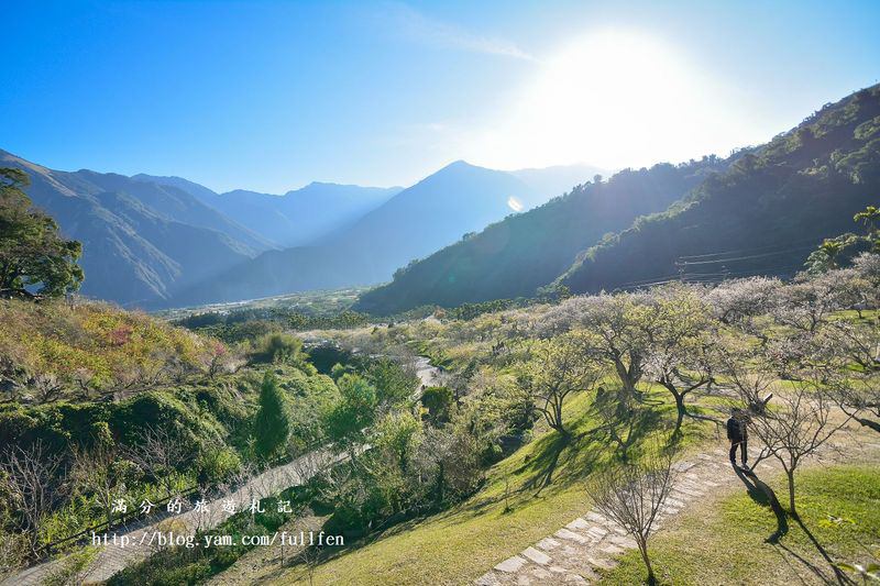 南投信義景點》柳家梅園|免門票賞梅景點|唯美的白雪世界|季節限定的美景~後山絕美梅花祕境