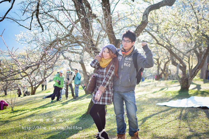 南投信義景點》柳家梅園|免門票賞梅景點|唯美的白雪世界|季節限定的美景~後山絕美梅花祕境