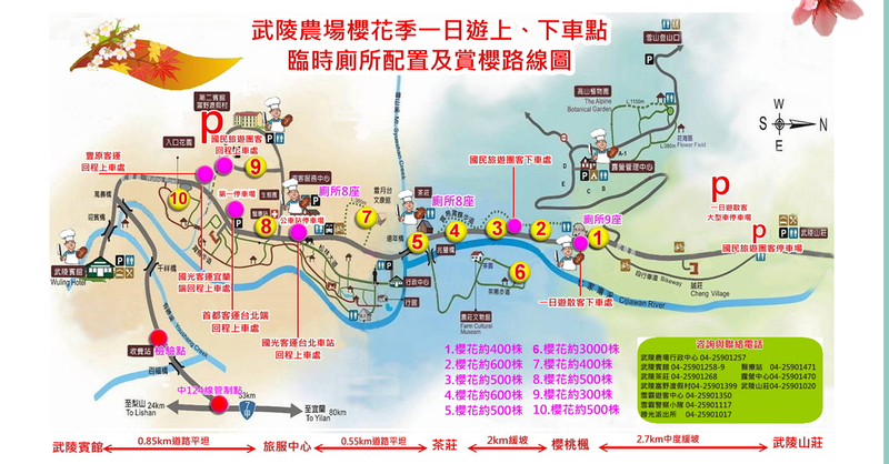 台中和平景點》武陵農場櫻花季 2018/1/19櫻花預售票開賣 季節限定的美景 農場下起浪漫櫻花雨 每年必訪的櫻花勝地!