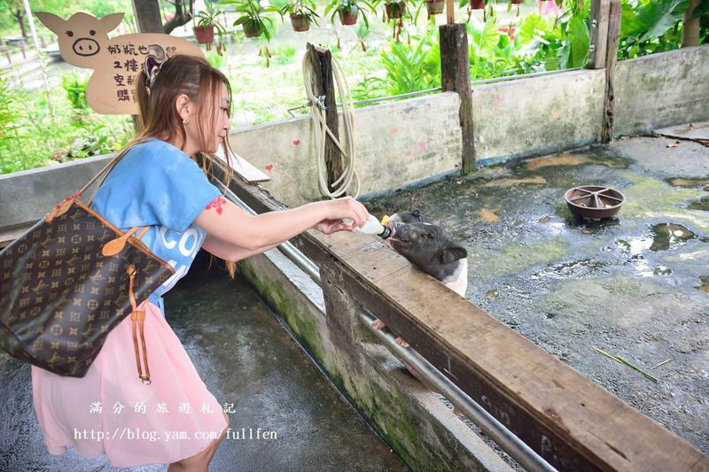 宜蘭冬山景點》宜農牧場 餵豬、餵羊、餵白免~與動物們的親密接觸。貼近大自然的農地