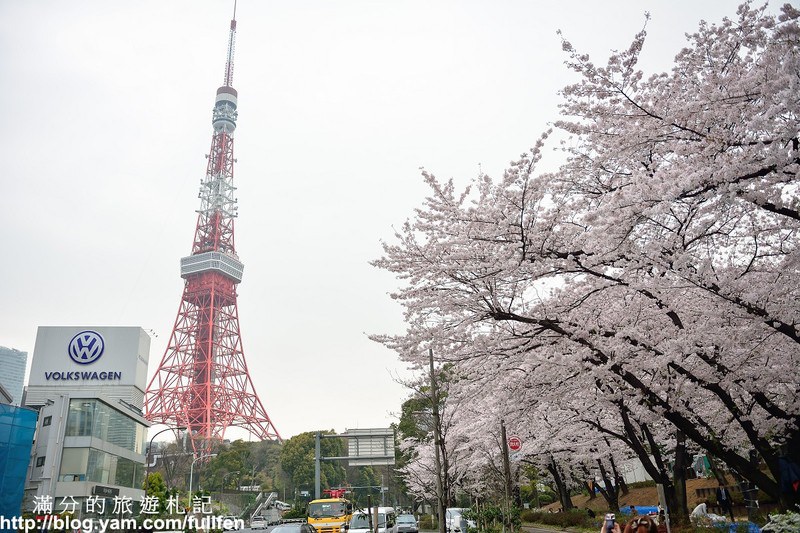 日本東京景點》東京鐵塔 東京最火熱的代表標地 東京賞櫻景點 浪漫的粉嫩櫻花季