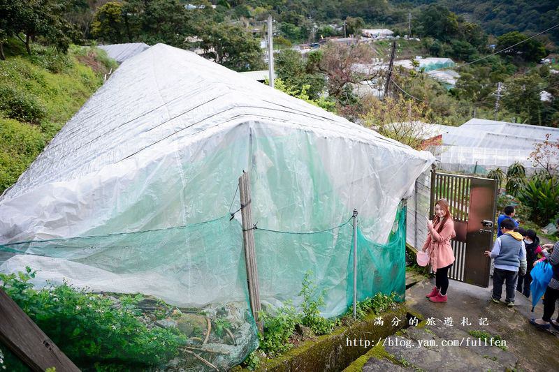 台北內湖景點|內湖採草莓趣.白石湖草莓園&莓圃休閒農園 ~草莓季開始囉!!!