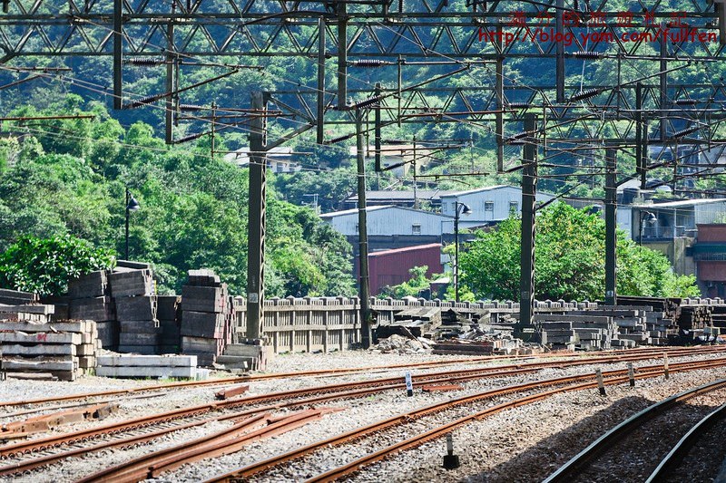 新北瑞芳景點》猴硐車站 貓村 Q版喵咪大集合 阿蝦古早味麵店 療癒一夏 真假貓咪傻傻分不清楚