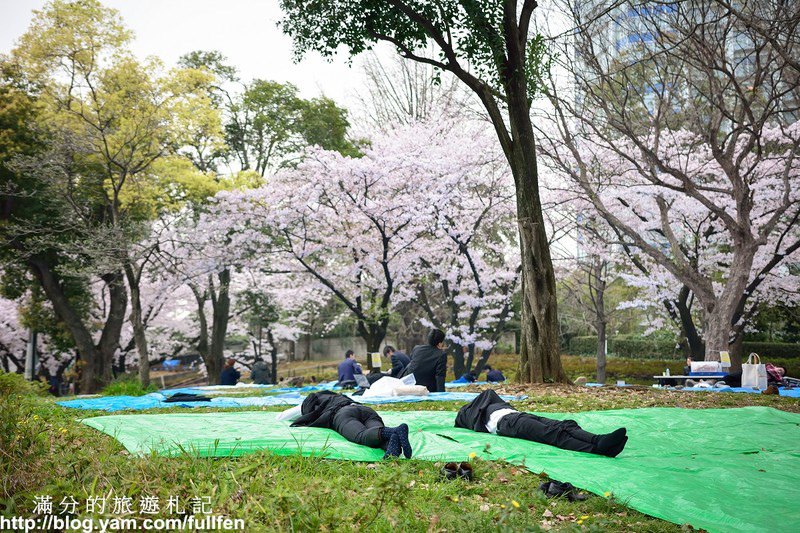 日本東京景點》東京鐵塔 東京最火熱的代表標地 東京賞櫻景點 浪漫的粉嫩櫻花季