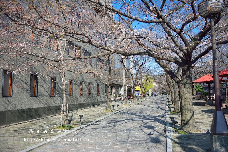 日本京都。祇園白川~花街小巷賞春櫻 @滿分的旅遊札記