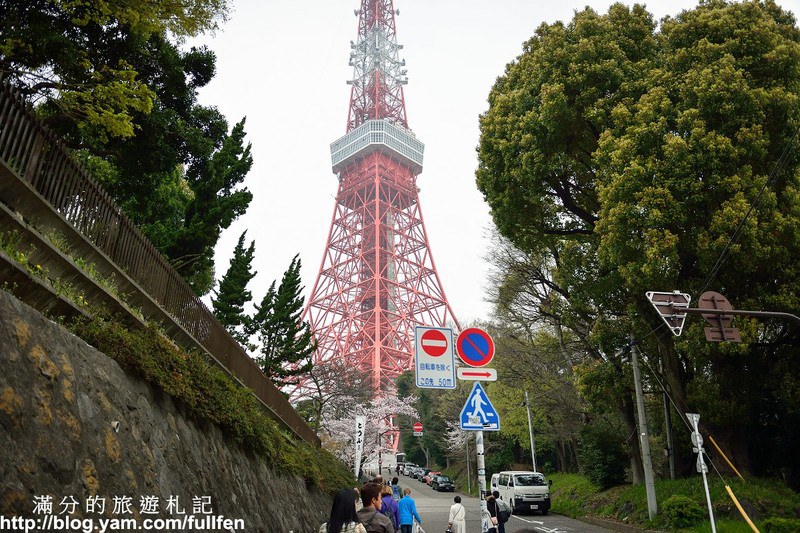 日本東京景點》東京鐵塔 東京最火熱的代表標地 東京賞櫻景點 浪漫的粉嫩櫻花季