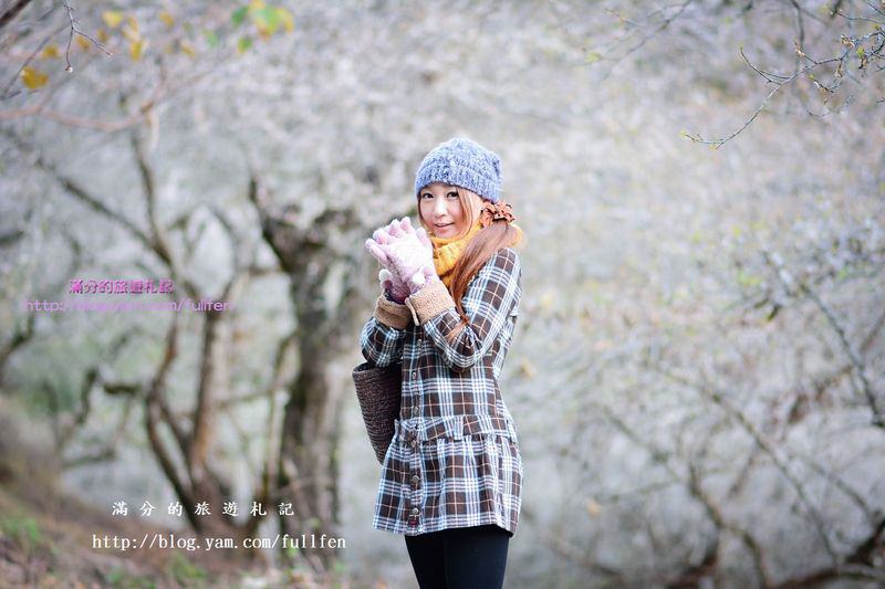 南投信義景點》柳家梅園|免門票賞梅景點|唯美的白雪世界|季節限定的美景~後山絕美梅花祕境 @滿分的旅遊札記