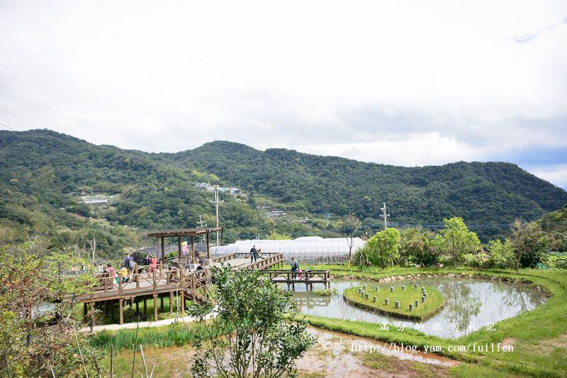 台北內湖景點|內湖採草莓趣.白石湖草莓園&莓圃休閒農園 ~草莓季開始囉!!!