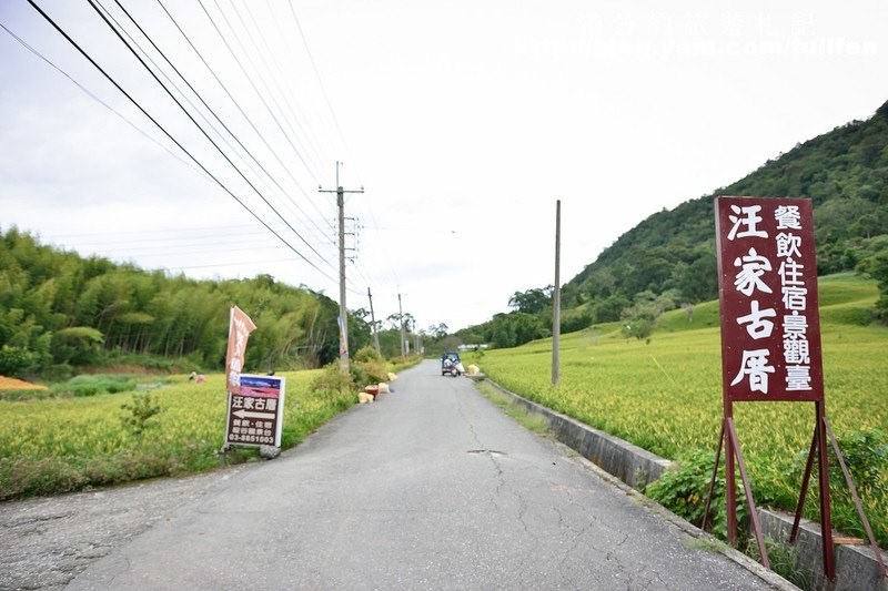 花蓮赤科山金針花》花蓮金針花海~赤科山/汪家古厝/千噸石龜~季節限定的美景!