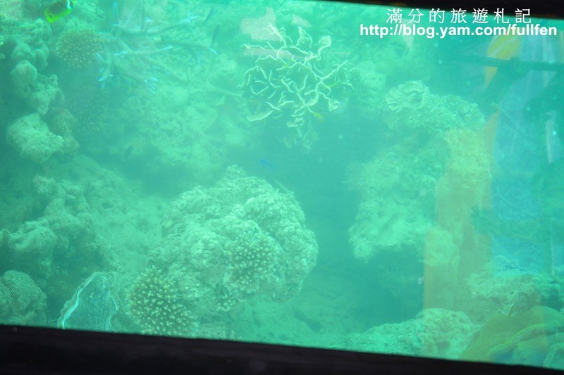 麗星郵輪-寶瓶星號岸上觀光~石垣島川平灣之旅