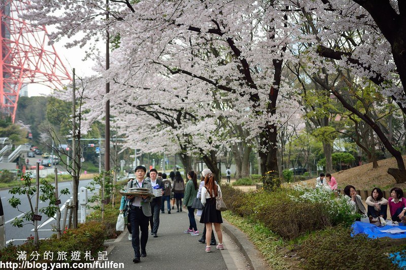 日本東京景點》東京鐵塔 東京最火熱的代表標地 東京賞櫻景點 浪漫的粉嫩櫻花季