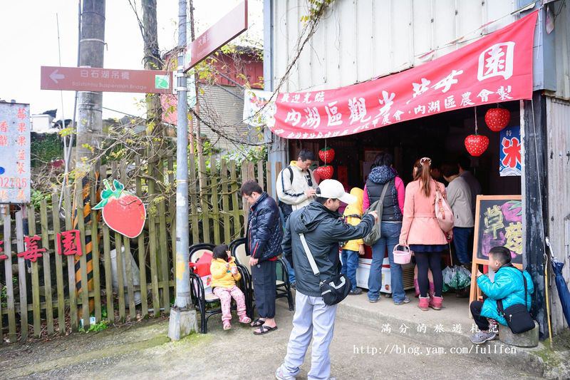 台北內湖景點|內湖採草莓趣.白石湖草莓園&莓圃休閒農園 ~草莓季開始囉!!!